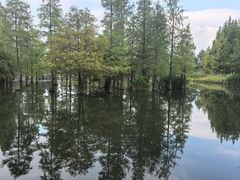 -白鹭湾湿地公园