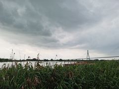 -芒洲湿地公园