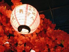 -探花·意境江南菜·唐伯虎文化体验店·松鼠桂鱼(观前店)