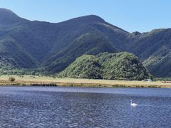-大九湖