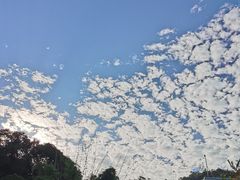 -林丰温泉度假山庄