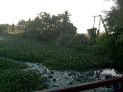 -三亚珠江南田温泉度假区