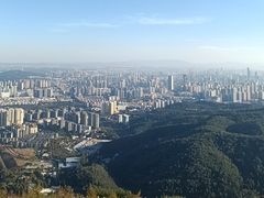 -长虫山生态公园风景林