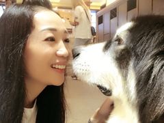 宇治抹茶sasa-more than meow吴止猫主题餐厅(承德 中船汇店)