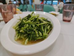 -新名仕新白玉兰餐厅