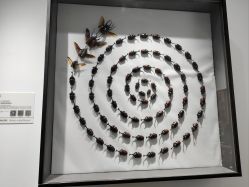 -酷嗒动物文化乐园(cutezoo西溪乐天城店)