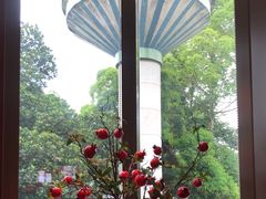 -点都德(广州白云山景区南门店)