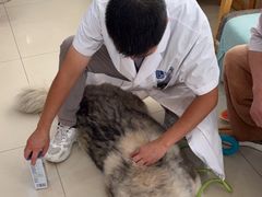 -宠颐生宠物医院·骨外科·犬猫全科诊疗中心(池州店)