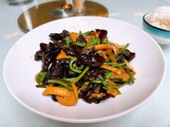 -呼和诺尔旅游景区