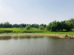 -蒲河岛湿地公园
