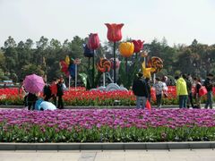 android_upload_pic-上海鲜花港