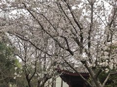 -堤角公园