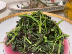 -蝶园·装修中(BFC外滩金融中心店)