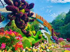 -杭州植物园