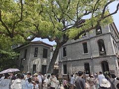 -江心屿景区