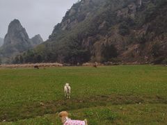 -楠溪江风景名胜区