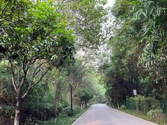 -重庆彩云湖湿地公园