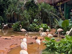 -海南热带野生动植物园