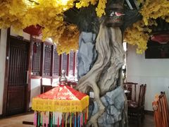 大堂-那家老院子东北菜·饺子·小鸡炖蘑菇(艳华街店)