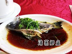 -台山美食一绝阿四台山黄鳝饭(阿四创作店)