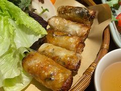 越南春卷-大头虾越式风味餐厅(光明广场店)