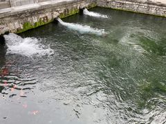 -金春禧(世茂国际广场店)