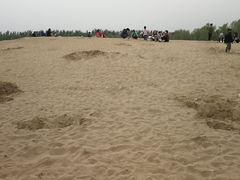 -东郊湿地公园