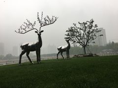 -西北湖绿化广场