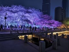 -西北湖绿化广场