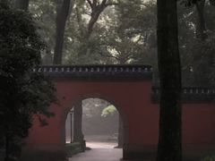 -灵谷景区