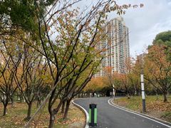 -苏州河梦清园环保主题公园