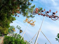 -合肥滨湖国家森林公园