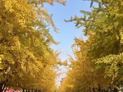 -辽宁大学(崇山校区)
