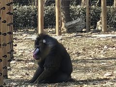 -常州淹城野生动物世界