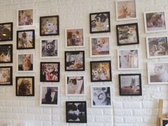 -平行世界·猫咖(首经贸店)