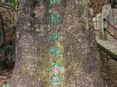 -梧桐山风景名胜区