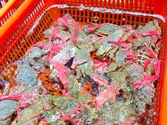 -巽寮印象美食部落餐厅·海鲜·地方特色菜(惠州体验店)