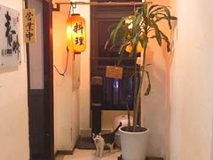 -春草居酒屋·晴子の店