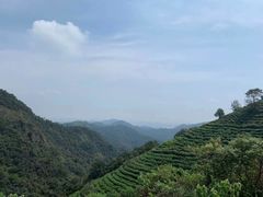 -西湖风景区十里琅珰-五云山