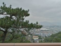 -金鸡山公园