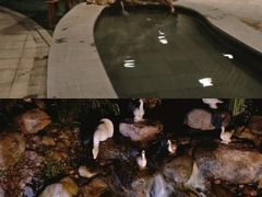 -福州贵安·温泉世界