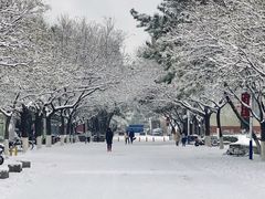 -山东大学(威海校区)