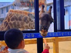 -西霞口神雕山野生动物世界