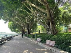 -光明港公园