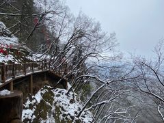 -塔云山