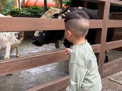 -杭州开元森泊度假乐园