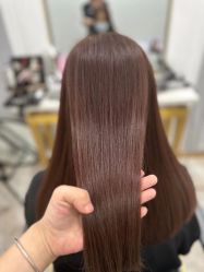-YESIDO椰岛造型