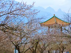 -广州市流溪河国家森林公园