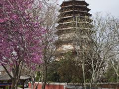 -天宁寺