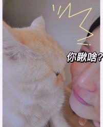 -齐伽生活馆·瑜伽·普拉提·阿育吠陀